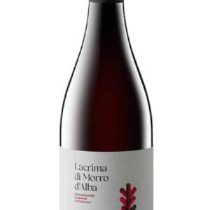 Lacrima di Morro d’Alba DOC 2024 - Belisario