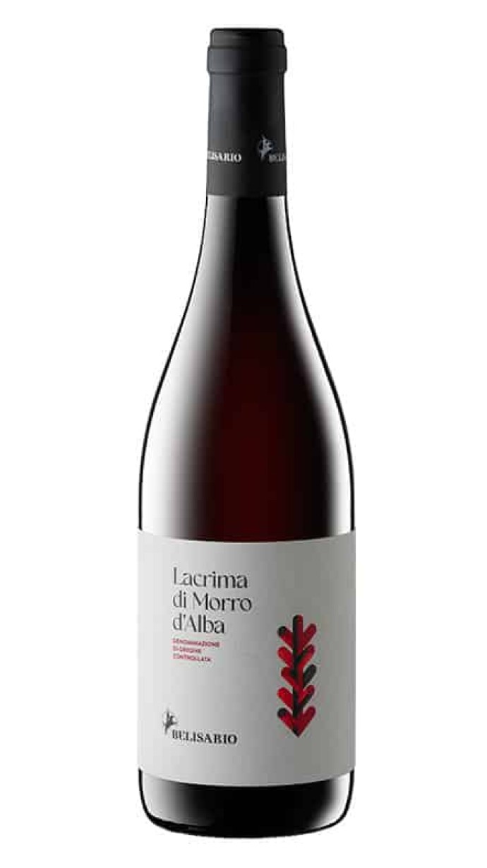 Lacrima di Morro d’Alba DOC 2024 – Belisario