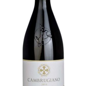 Verdicchio di Matelica Riserva DOCG - CAMBRUGIANO 3 Litri 2021 Belisario