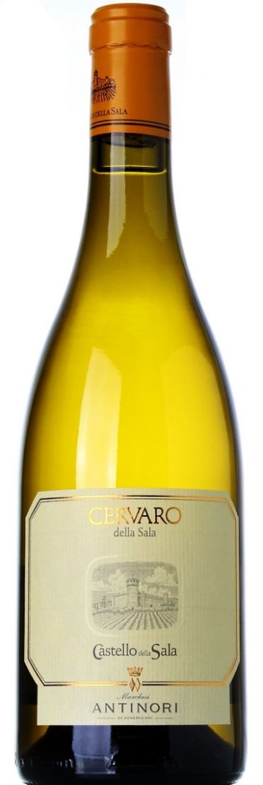 Umbria Bianco IGT – CERVARO DELLA SALA 2024 – Antinori