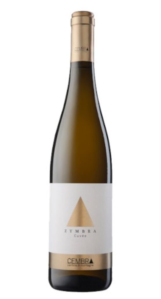 Vigneti Delle Dolomiti IGT – ZYMBRA 2019 – Cembra