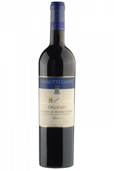 Lacrima Di Morro D'Alba DOC Superiore - ORGIOLO 2023 Marotti Campi