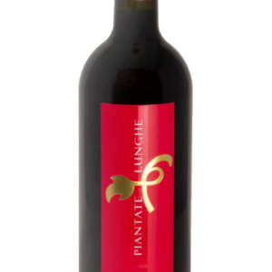 Rosso Conero DOC 2022 - Piantate Lunghe