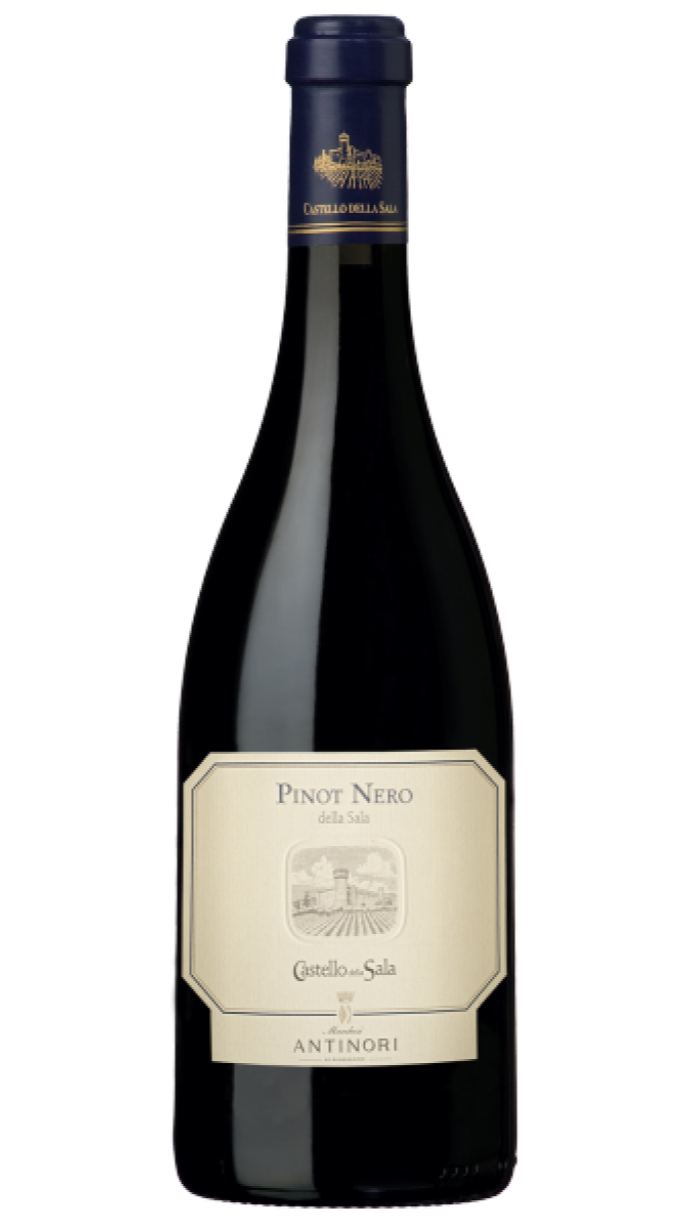 Pinot Nero Castello della Sala 2023- Antinori