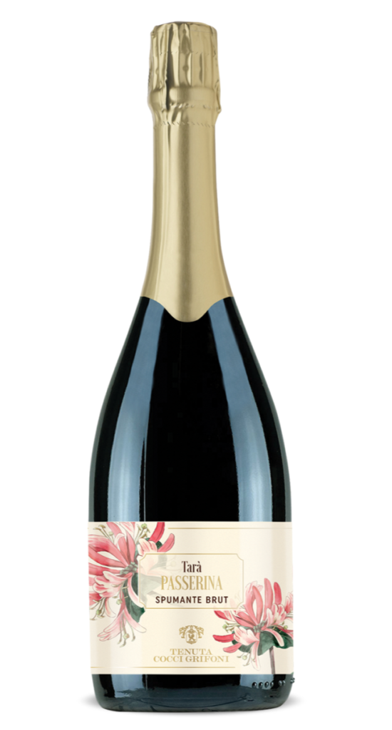 Passerina Spumante Brut -TARA’ MAGNUM 1,5 LT 2023 – Cocci Grifoni