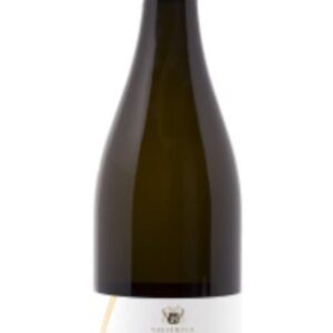 Verdicchio dei Castelli di Jesi classico DOC - LA TORRE 2024 - Bonci