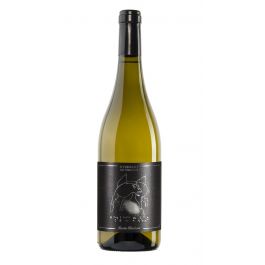 Marche Bianco IGT - ANIMALE CELESTE 2025 - Santa Barbara