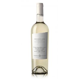 Marche Bianco IGT - ANNACHIARA 2024 - Tenimenti Spinsanti - Tenimenti Spinsanti