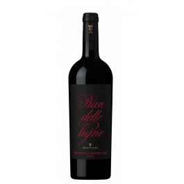 Brunello di Montalcino DOCG - PIAN DELLE VIGNE 2021 - Antinori - Antinori