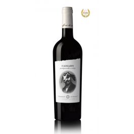 Marche Rosso Conero DOC - CAMARS 2017- Tenimenti Spinsanti - Tenimenti Spinsanti