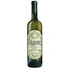 Falerio dei Colli Ascolani DOC - TELUSIANO 2021- Rio Maggio - Rio Maggio