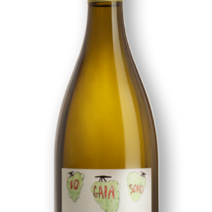 Offida Pecorino DOCG - IO SONO GAIA 2023 - Le Caniette