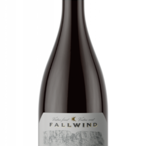 Lagrein Riserva Fallwind DOC 2022 -San Michele Appiano