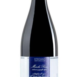 Marche Rosso IGT - STEFANO ANTONUCCI 2022 - Santa barbara