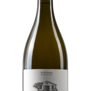 Verdicchio dei Castelli di Jesi Classico Superiore - MOSS BLANC - Santa Barbara 2019