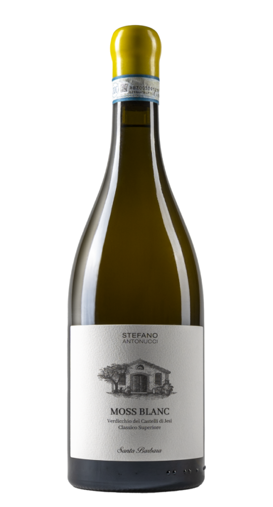 Verdicchio dei Castelli di Jesi Classico Superiore – MOSS BLANC – Santa Barbara 2019