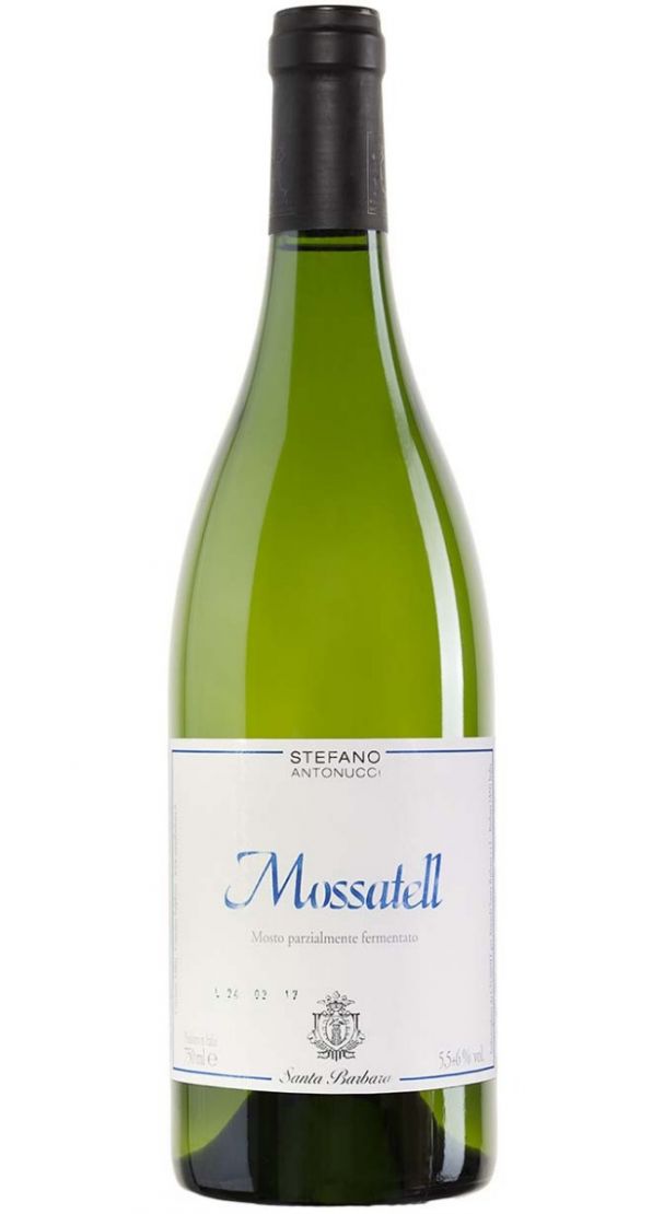 MOSSATELL – Santa Barbara
