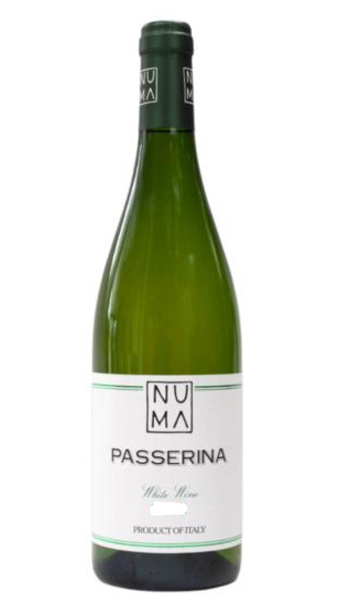 Offida Pecorino DOCG 2024 – Numa