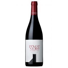Alto Adige DOC PINOT NERO 2024 Colterenzio - Colterenzio