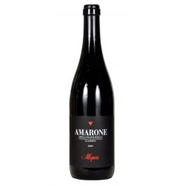 Amarone della Valpolicella Classico DOCG 2021 - ALLEGRINI - Allegrini