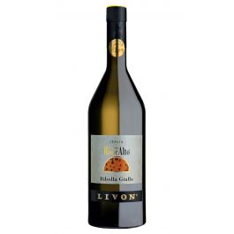 Collio DOC Ribolla Gialla - RONCALTO 2024 - Livon - Livon