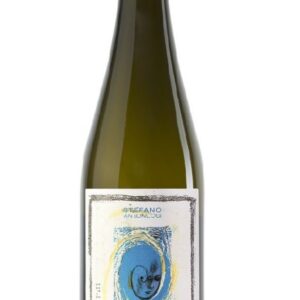 Verdicchio dei Castelli di Jesi DOC - PIGNOCCO 2023 - Santa Barbara