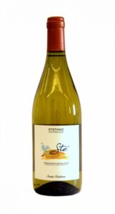 Verdicchio dei Castelli di Jesi DOC - STE' 2024 - Santa Barbara