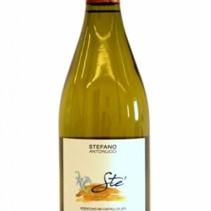 Verdicchio dei Castelli di Jesi DOC - STE' 2024 - Santa Barbara