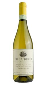 Verdicchio dei Castelli di Jesi Classico Riserva DOC - VILLA BUCCI 2021 - BUCCI